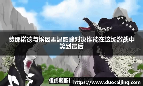 费那诺德与埃因霍温巅峰对决谁能在这场激战中笑到最后
